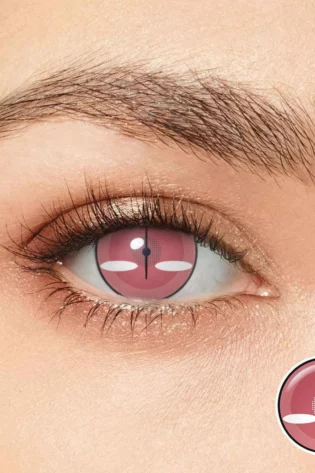 NEZUKO KAMADO CONTACTS