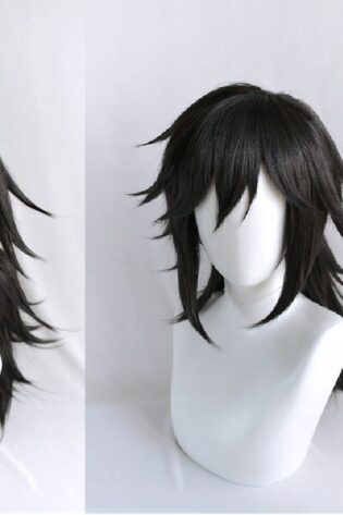 GIYU TOMIOKA WIG