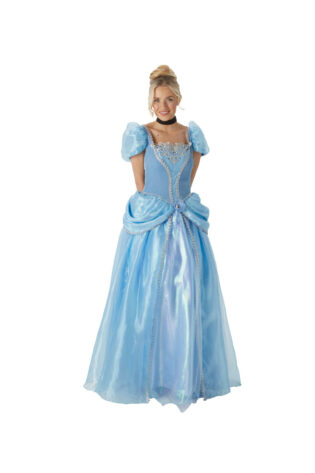 BOOK CHARACTERS CINDERELLA DELUX ADULT