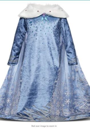 KIDS BOOK CHARACTER ELSA COSTUME FROZEN 2