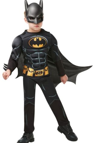 KIDS BOOK CHARACTERS BATMAN DELUX