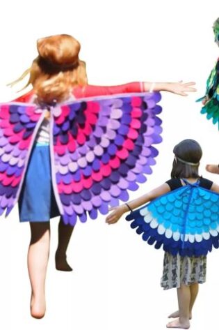 KIDS BOOK CHARACTERS BIRD WINGS MASK