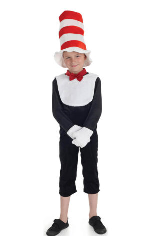 KIDS BOOK CHARACTERS CAT IN THE HAT