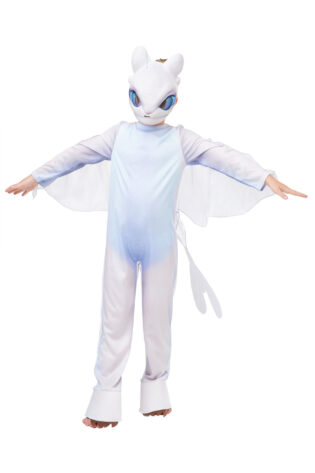 KIDS BOOK CHARACTERS LIGHT FURY DRAGON