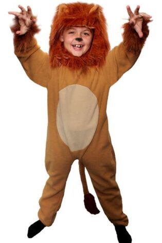 KIDS BOOK CHARACTERS LION