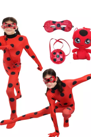 KIDS BOOK CHARACTERS MIRACULOUS LADYBUG