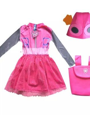 KIDS BOOK CHARACTERS SKYE PAW PATROL