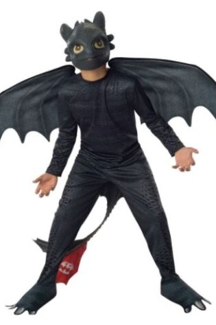 KIDS BOOK CHARACTERS TOOTHLESS HOW TO TRAIN YOUR DRAGON