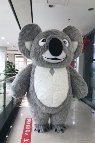 KOALA BEAR