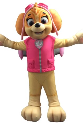 PAW PATROL SKYE MASCOT