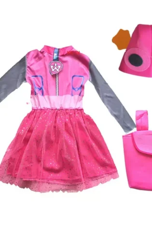 KIDS BOOK CHARACTERS SKYE PAW PATROL