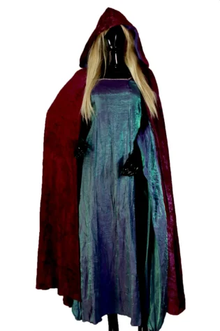 Enchanted Sorceress Cloak Dress