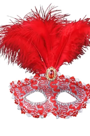 RED WITH SILVER TRIM AND FEATHER