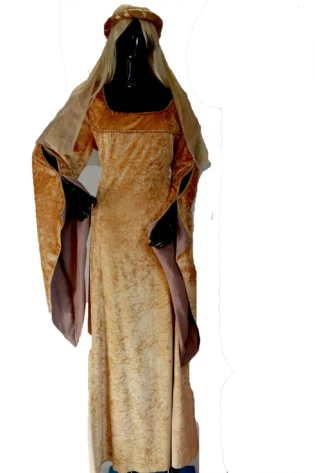 Medieval Princess Costume