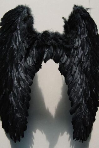DARK ANGEL WINGS