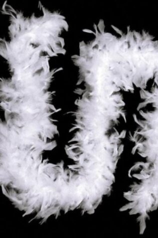 FEATHER BOA