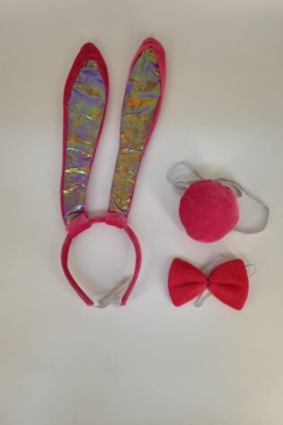 LONG PINK BUNNY SET