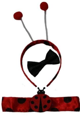 LADYBUG SET