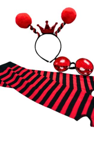 LADYBUG SET