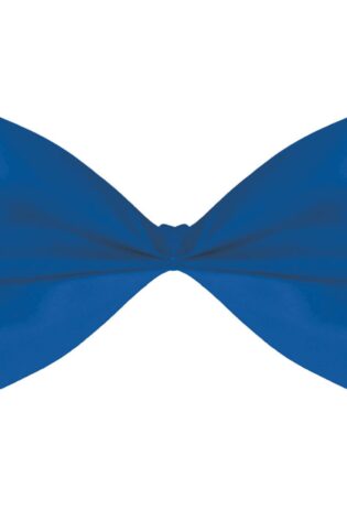PLAIN LARGE BOW TIE ROYAL BLUE