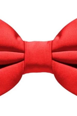 PLAIN LARGE BOW TIE RED