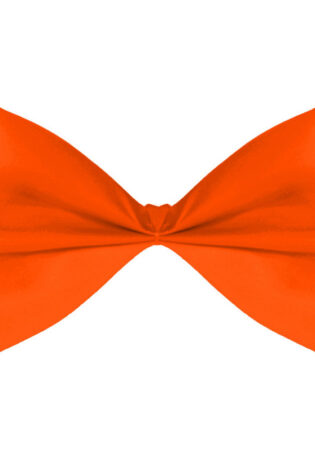 PLAIN LARGE BOW TIE ORANGE