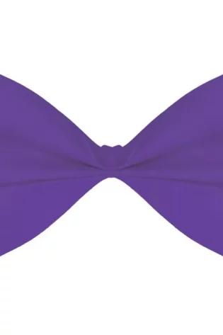 PLAIN LARGE BOW TIE  PURPLE