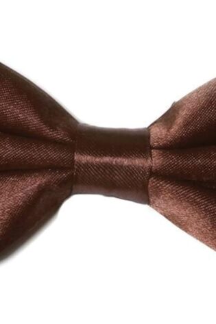 PLAIN LARGE BOW TIE BROWN
