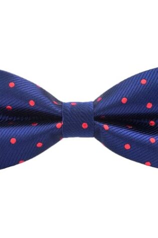 NAVY WITH RED DOTS