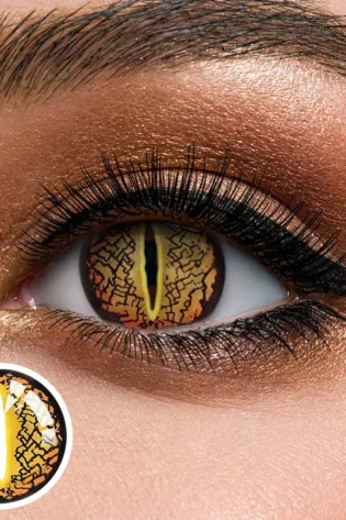 LIZARD EYE BROWN YS25-1