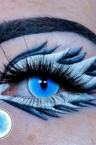 RAGDOLL CAT BLUE  YS6