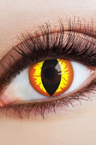 CAT EYE REDDIS BROWN  D21-BR