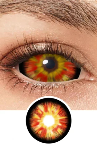 SCLERA LYCORISRADIATE DA22