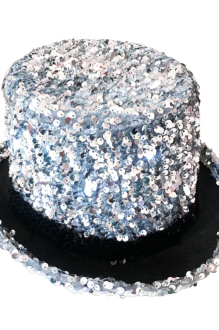 DELUXE SEQUIN TOP THAT SILVER