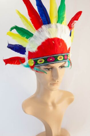 FEATHER HEADDRESS