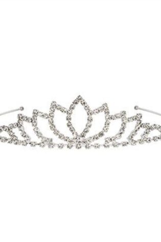 SILVER TIARA MINI
