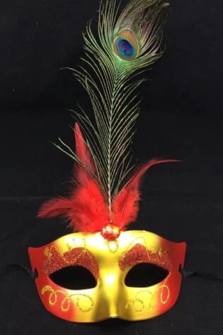 SHINE RED AND GOLD AND FEATHER