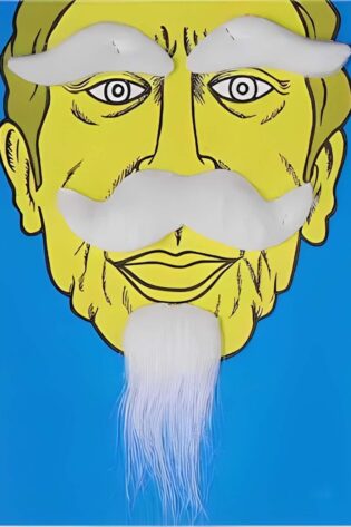 WHITE EYEBROWS,MUSTACHES AND SMALL BEARD