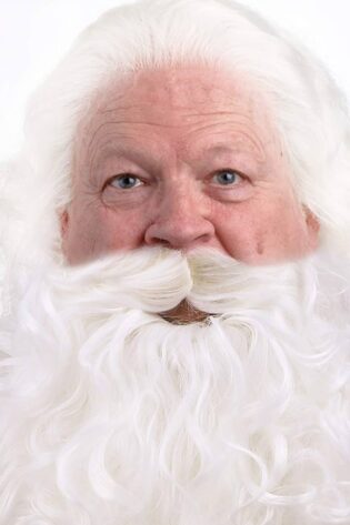 CURLY SANTA BEARD