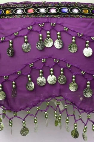 BELLY DANCING SKIRT PURPLE