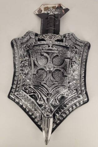 SHIELD AND SWORD
