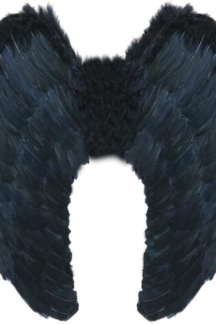FEATHER Wing LARGE BLACK