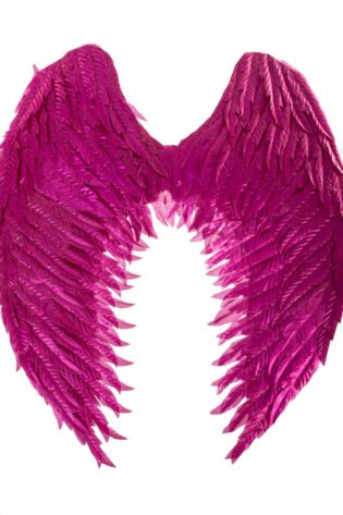 FEATHER Wing LARGE PINK