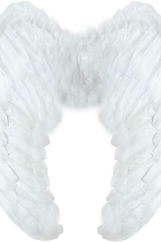 FEATHER Wing LARGE WHITE