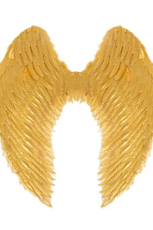 FEATHER Wing LARGE GOLD