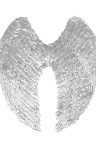 FEATHER Wing LARGE SILVER