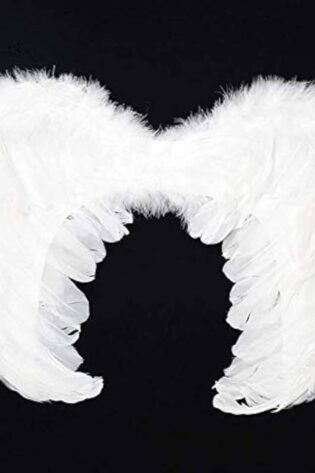 FEATHER Wing MEDIUM WHITE
