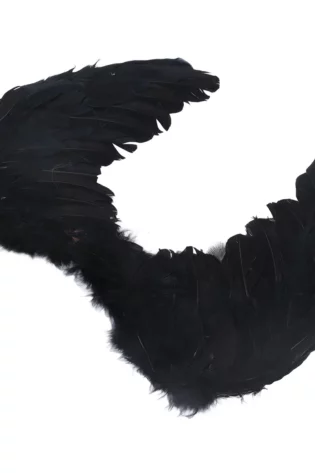 FEATHER Wing MEDIUM BLACK