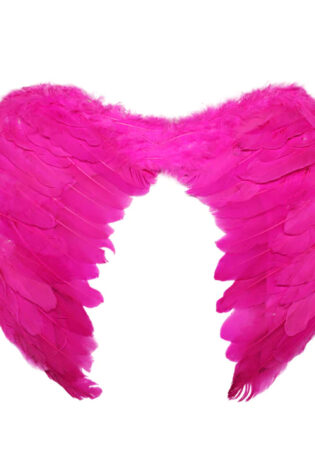 FEATHER Wing MEDIUM PINK