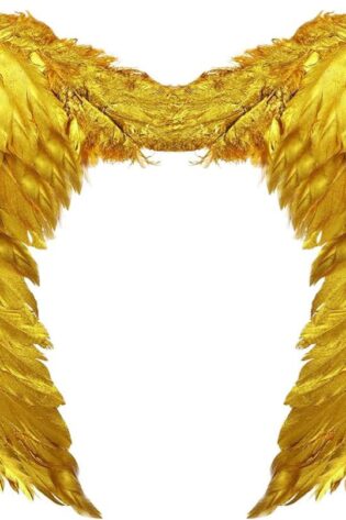 FEATHER Wing MEDIUM SILVER